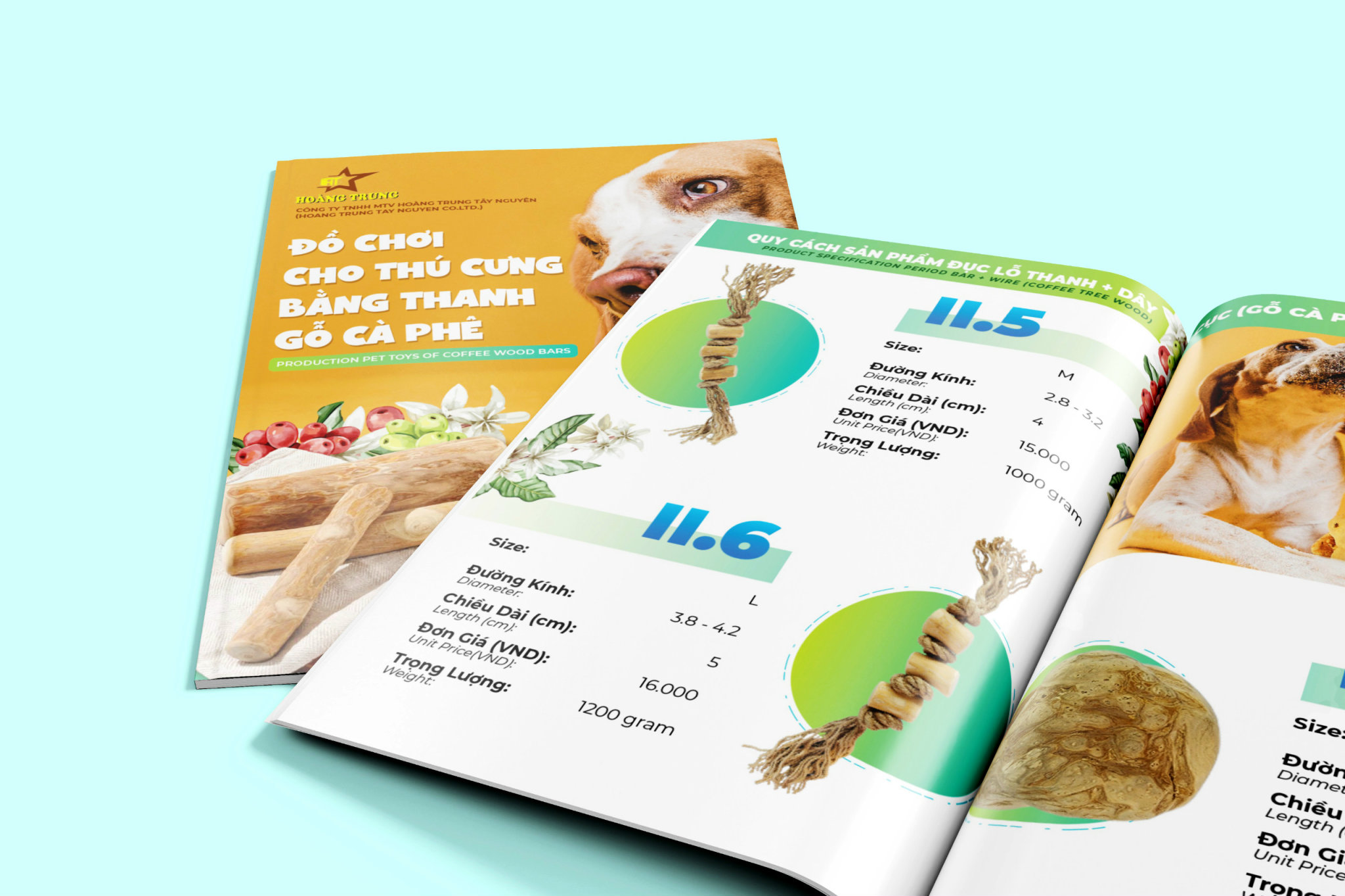Catalog - ảnh 3