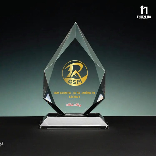 Cúp pha lê - ảnh 4