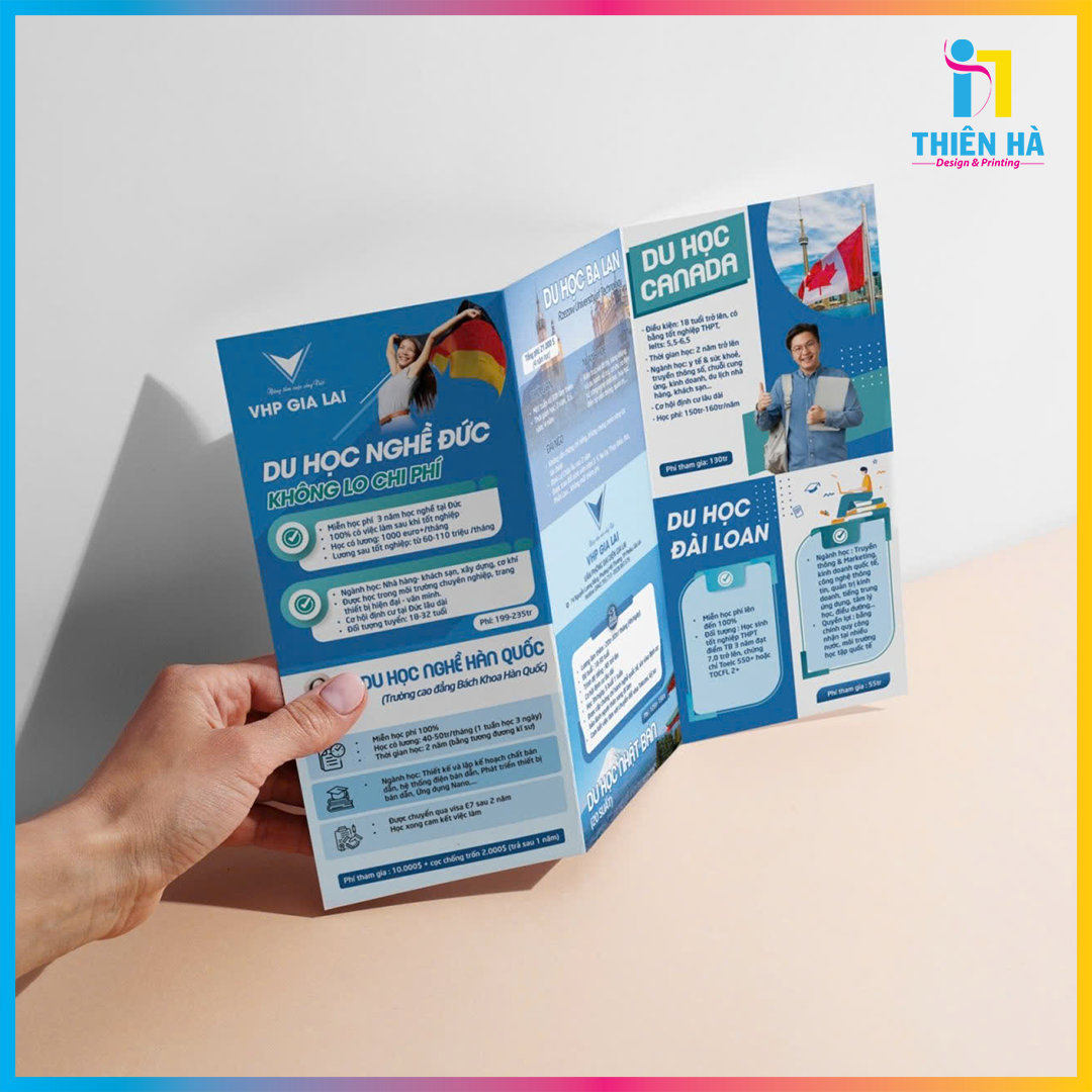 Brochure - ảnh 1