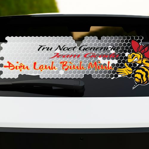 Decal dán xe - ảnh 3