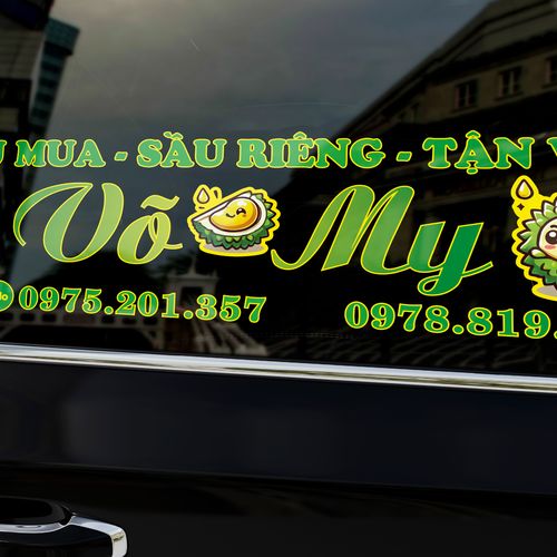 Decal dán xe - ảnh 8
