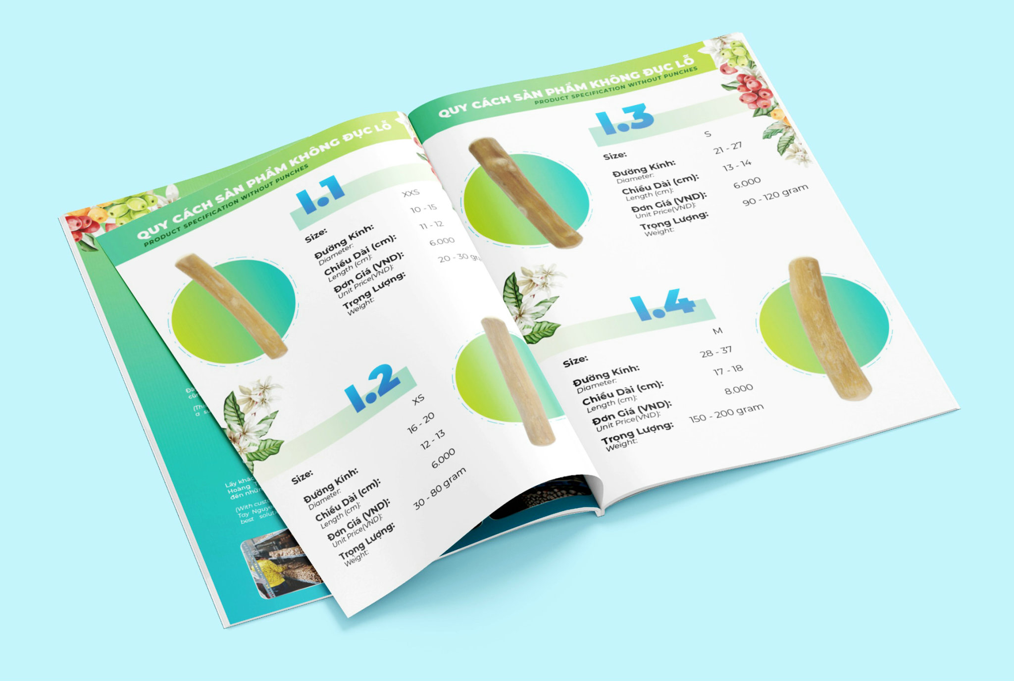 Catalog - ảnh 4
