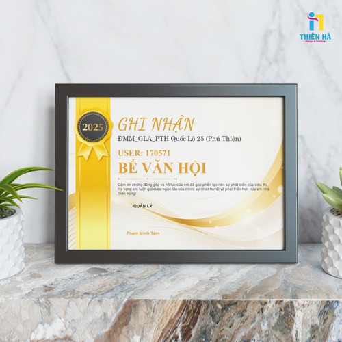 Giấy khen - chứng chỉ - ảnh 3