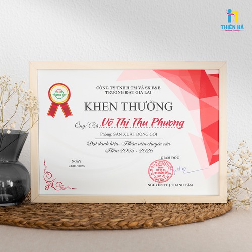 Giấy khen - chứng chỉ - ảnh 4