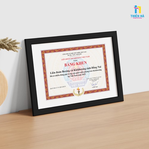 Giấy khen - chứng chỉ - ảnh 10